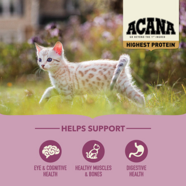 Acana Dry Cat Food - Highest Protein Kitten