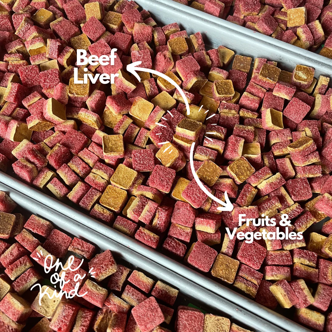 Bare Bones Freeze-Dried Dog Treats - Red Bites