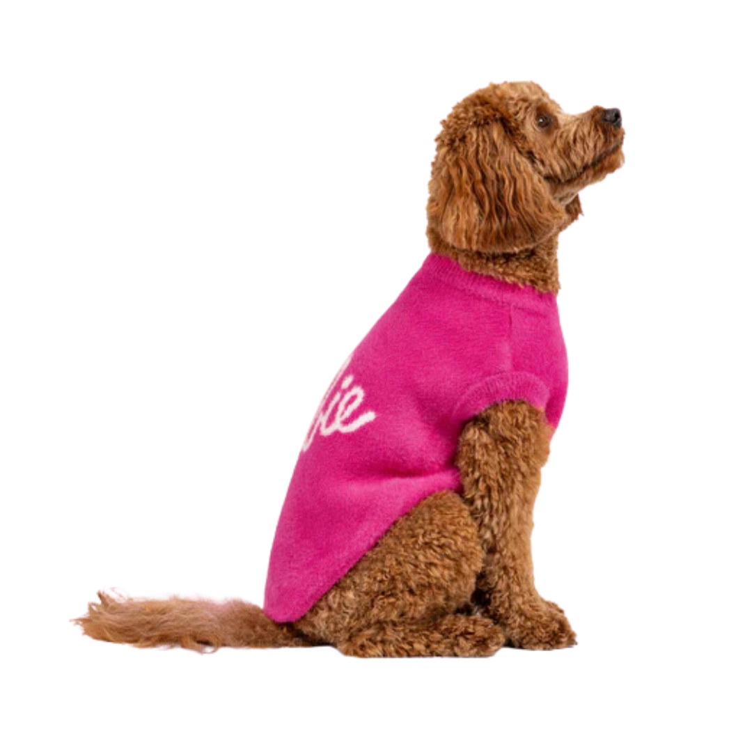 Canada Pooch Dog Accessories - Barbie™ Pawparazzi Sweater