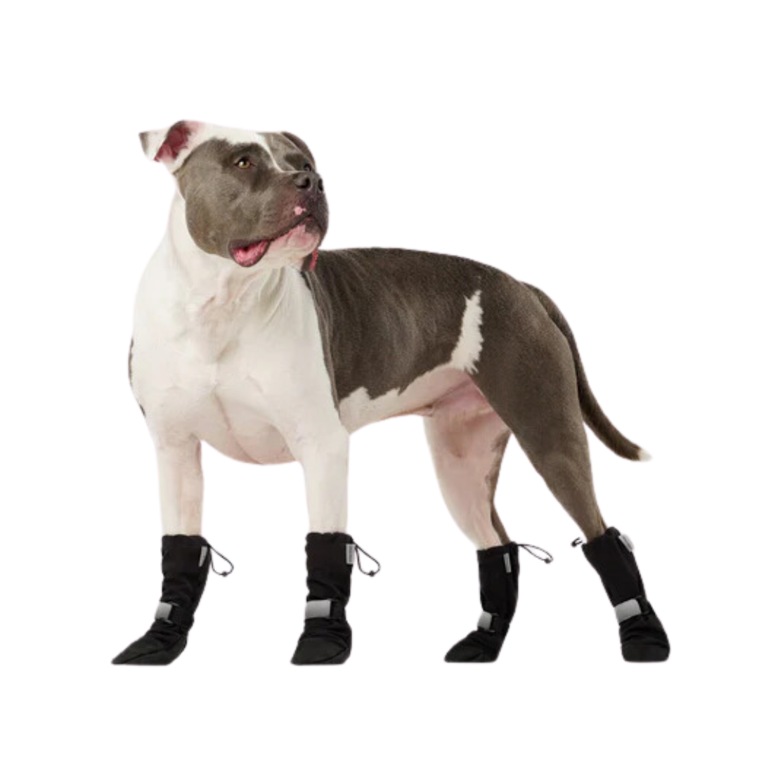 Canada Pooch Dog Accessories - Soft Shield Boots