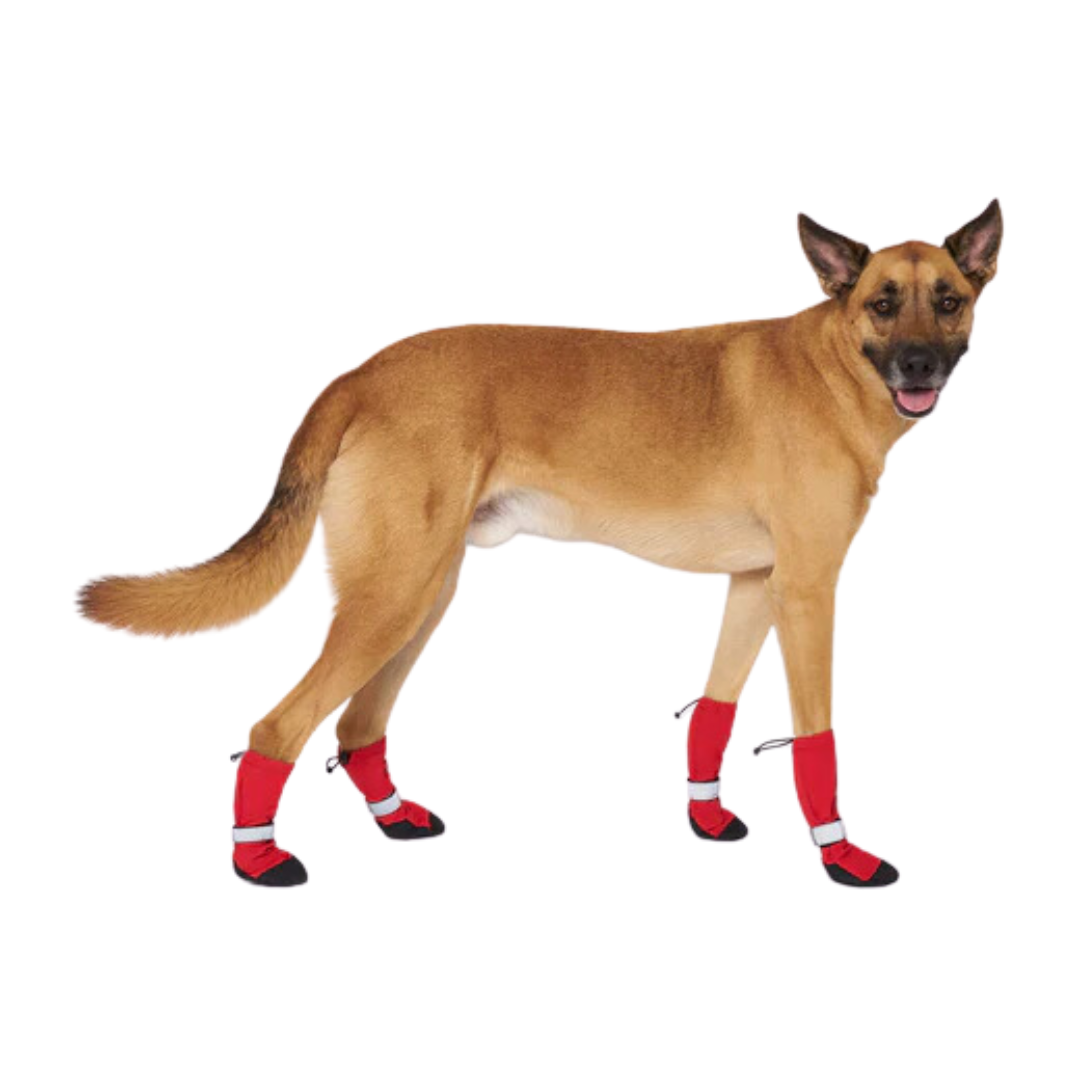 Canada Pooch Dog Accessories - Soft Shield Boots