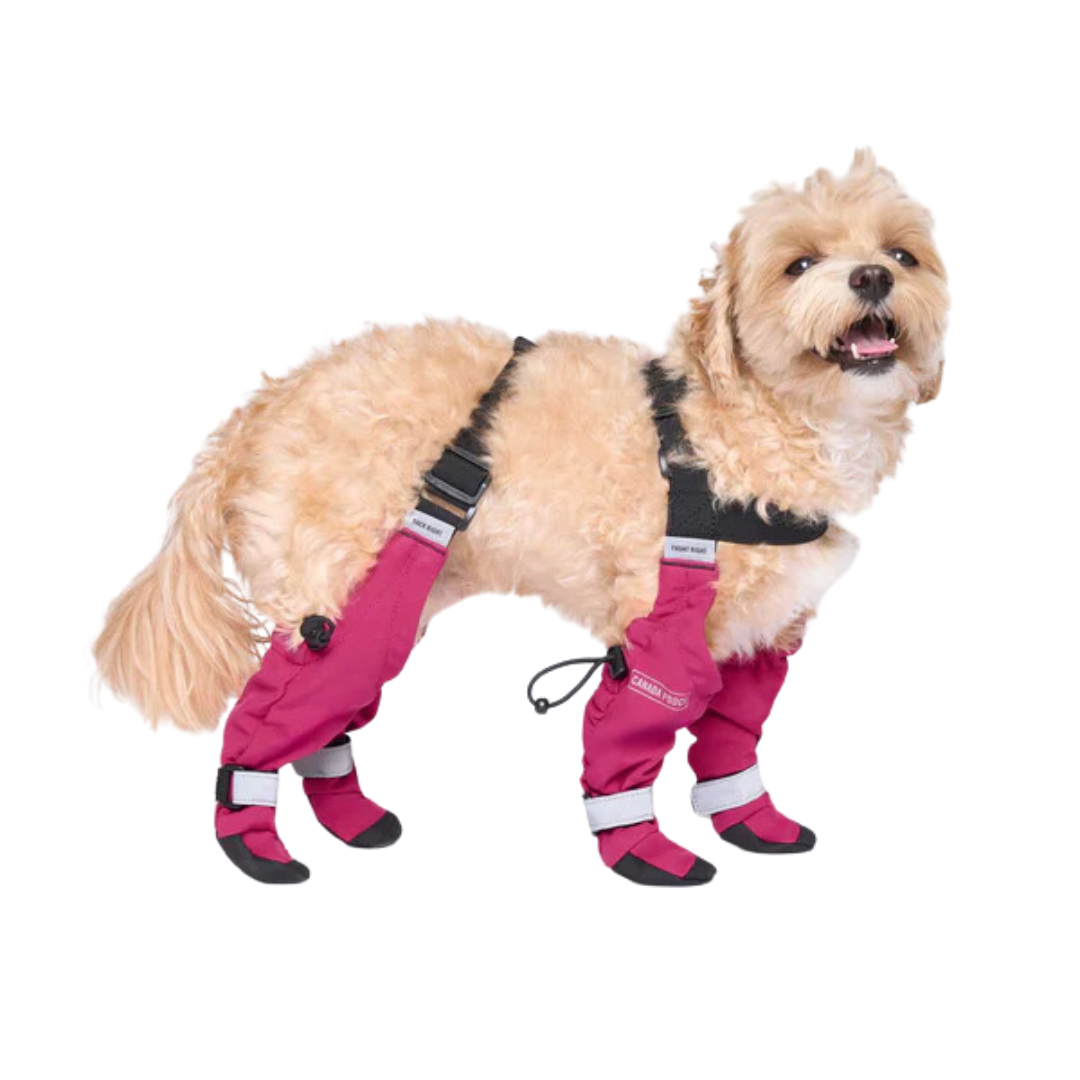 Canada Pooch Dog Accessories - Suspender Boots