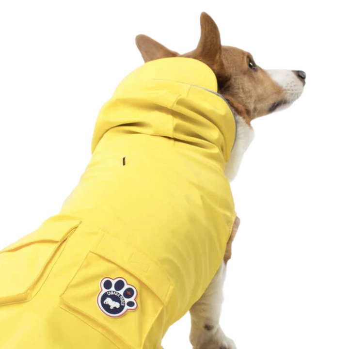 Canada Pooch Dog Accessories - Torrential Tracker Raincoat