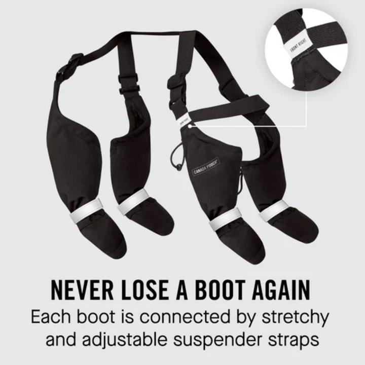 Canada Pooch Dog Accessories - Suspender Boots