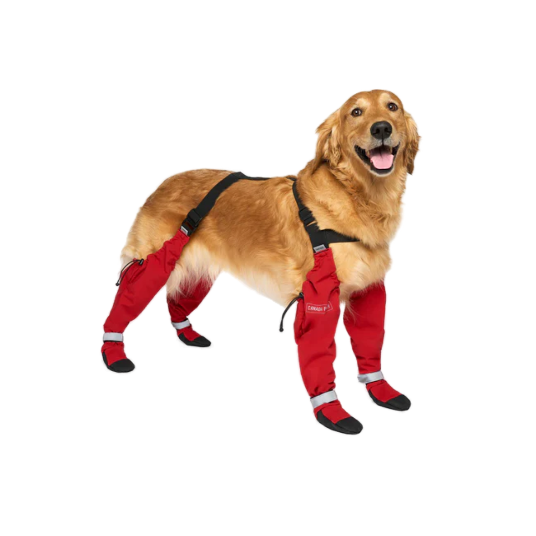 Canada Pooch Dog Accessories - Suspender Boots