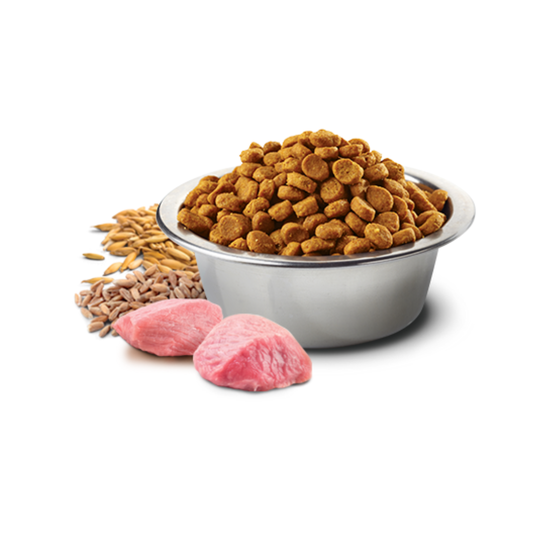 Farmina N&D Dry Dog Food - Tropical Selection Lamb, Spelt, Oats And Tropical Fruits Adult Mini