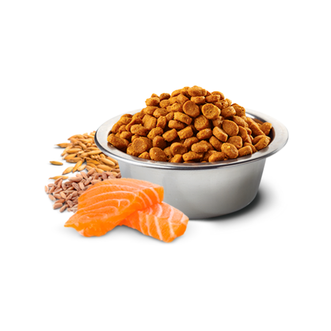 Farmina N&D Dry Dog Food - Tropical Selection Salmon, Spelt, Oats & Tropical Fruit Adult Mini