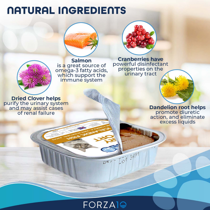 Forza10 Wet Cat Food - Nutraceutic Actiwet Urinary Support Icelandic Fish Recipe Canned 