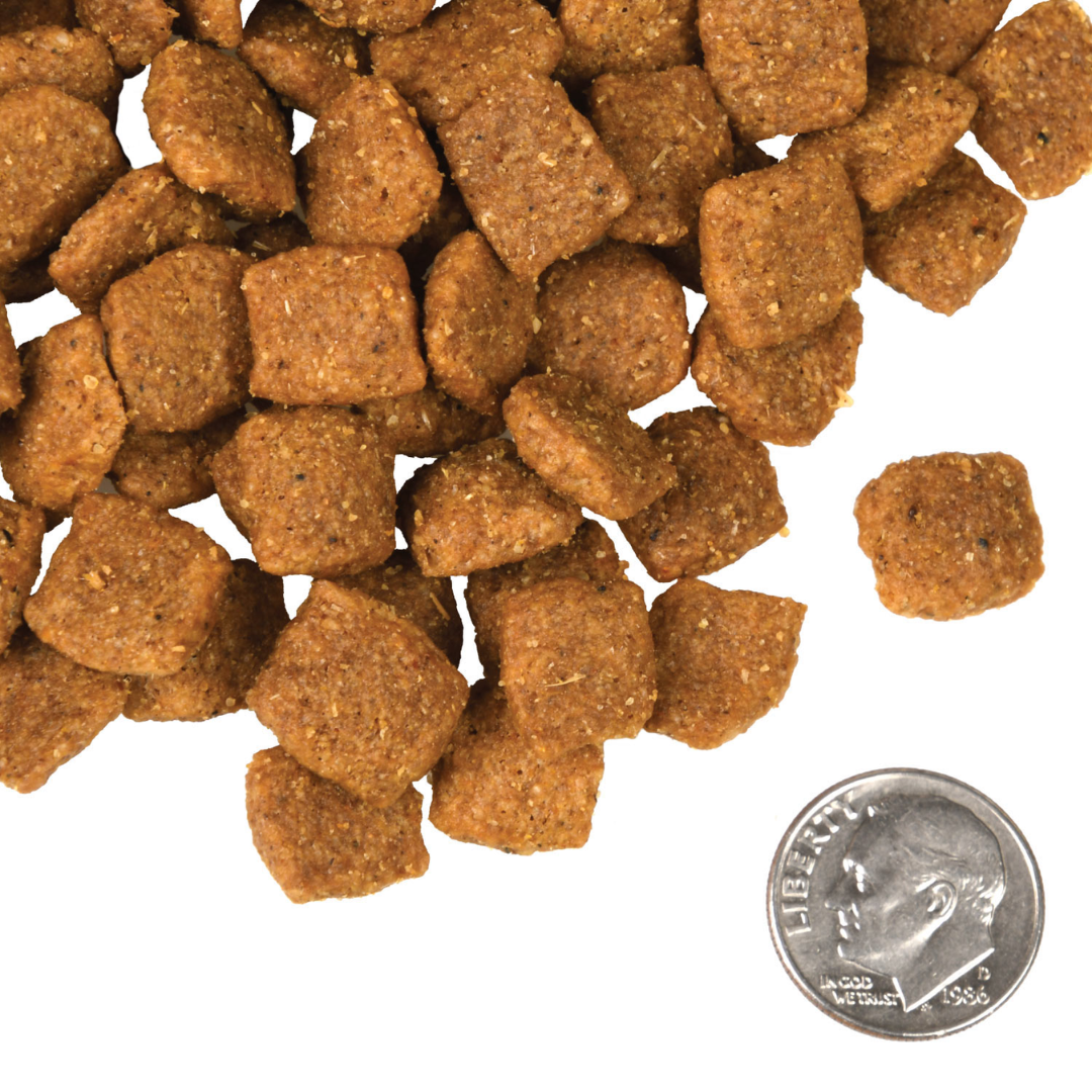 Fromm Dry Dog Food - Four Star Nutritionals Chicken a la Veg Recipe