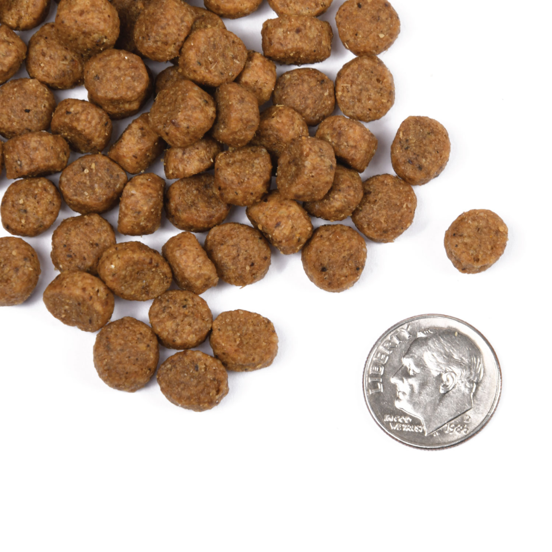 Fromm Dry Dog Food - Classic Puppy