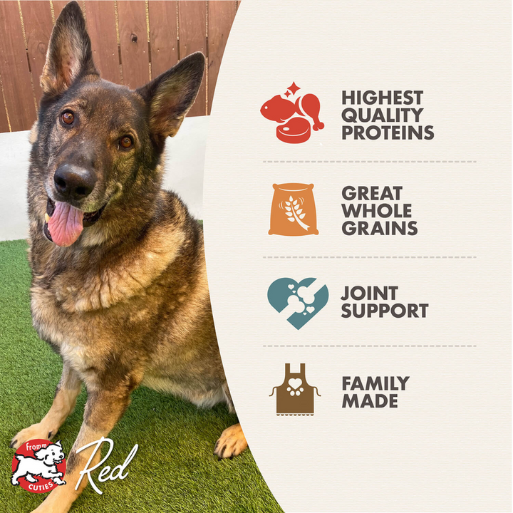 Fromm Dry Dog Food - Gold Reduced Activity & Senior Gold