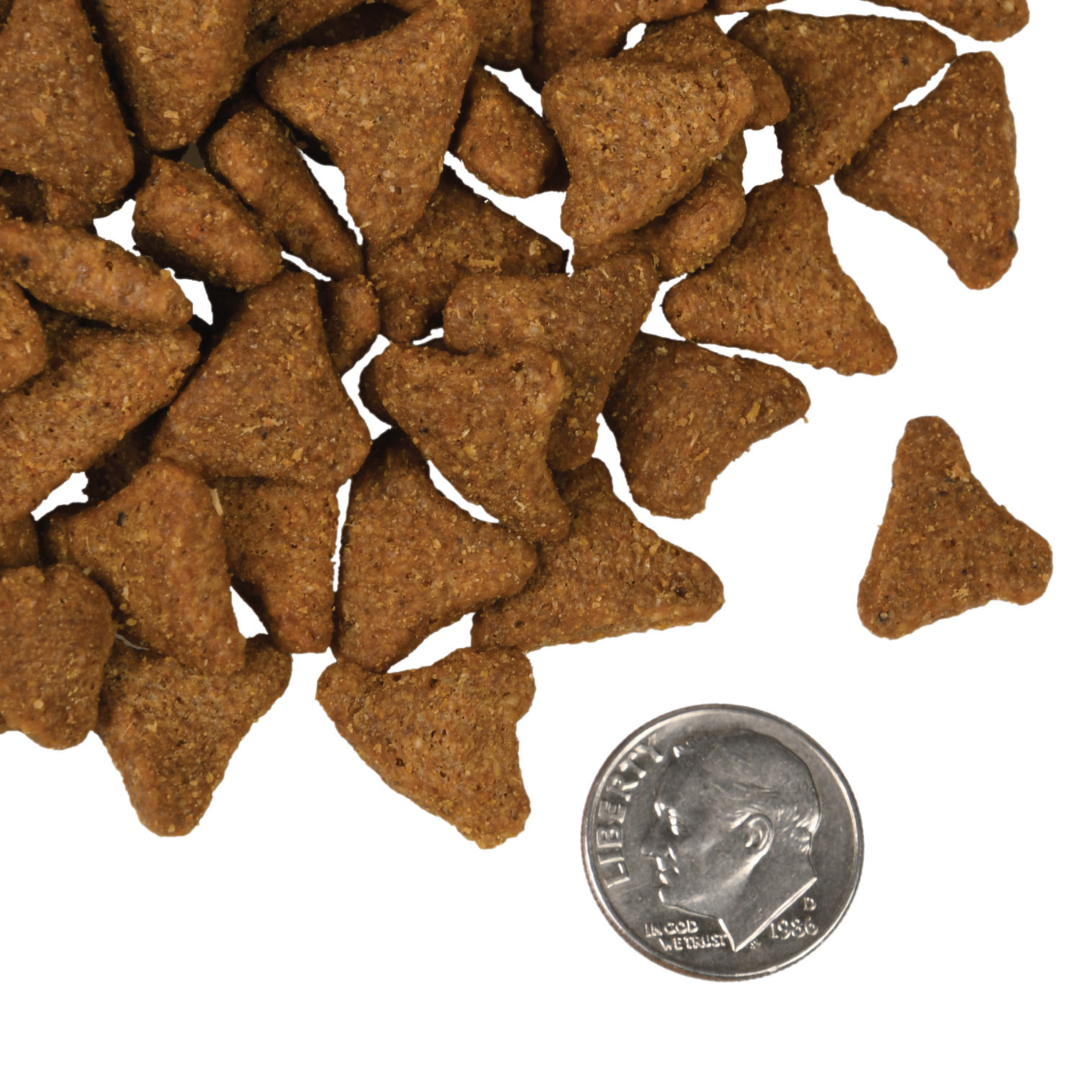 Fromm Dry Dog Food - Four Star Nutritionals Whitefish & Potato Recipe