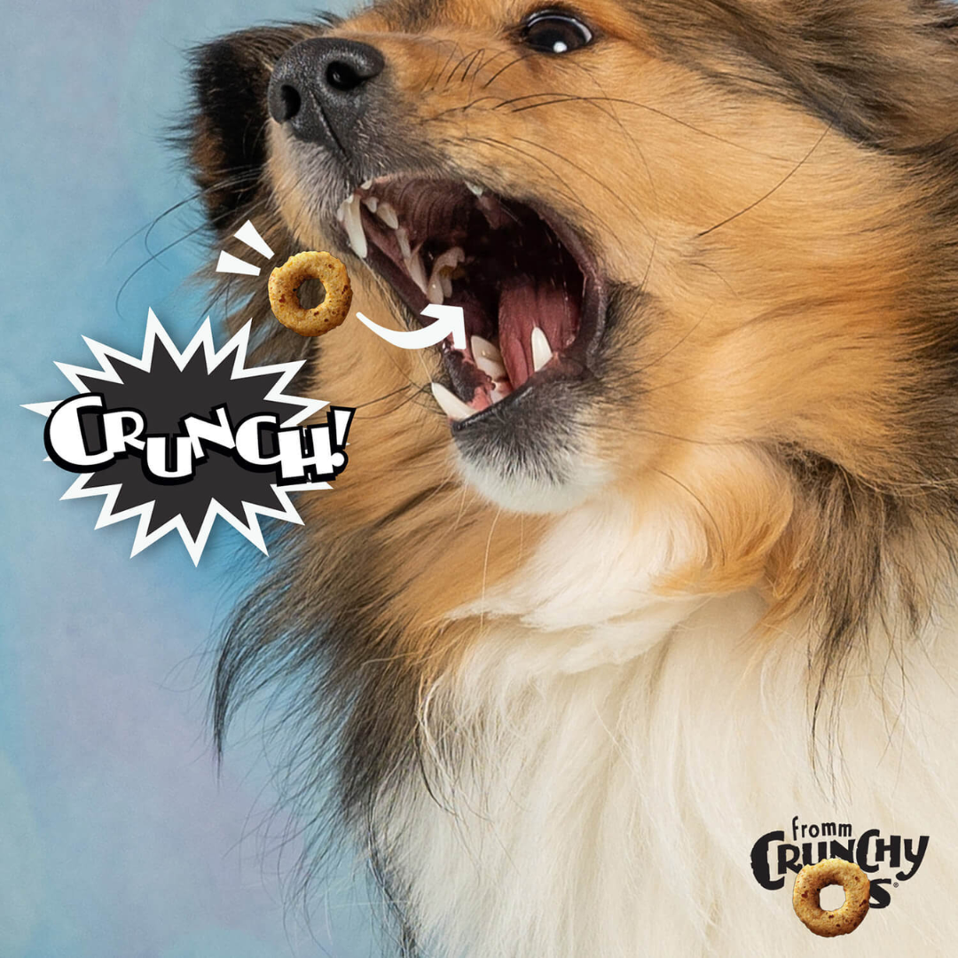 Fromm Dry Dog Treats - Crunchy O's Bacon Blasters Flavor