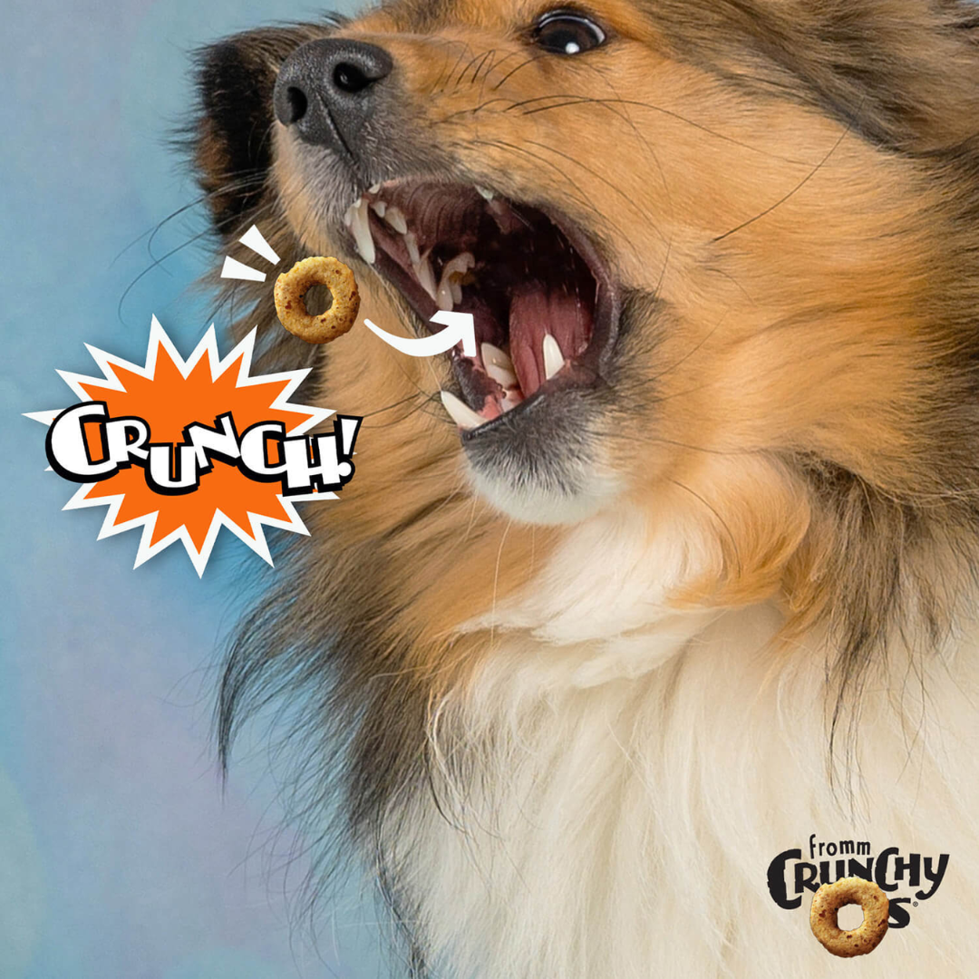 Fromm Dry Dog Treats - Crunchy O's Peanut Butter Jammers Flavor