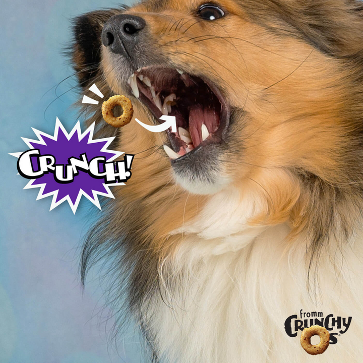 Fromm Dry Dog Treats - Crunchy O's Smokin' CheesePlosions Flavor