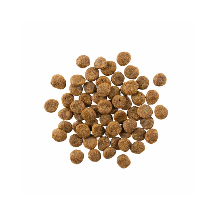 Go! Solutions Dry Dog Food - Sensitivities Limited Ingredient Grain-Free Salmon Recipe