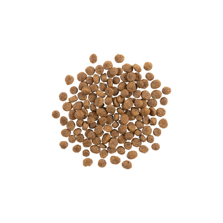 Go! Solutions Dry Dog Food - Sensitivities Limited Ingredient Grain-Free Small Bites Salmon Recipe