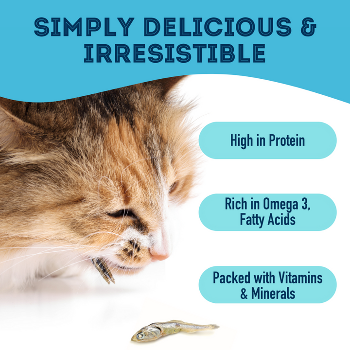 Granville Dehydrated Dog and Cat Treats - With Love and Fishes Premium Sardines