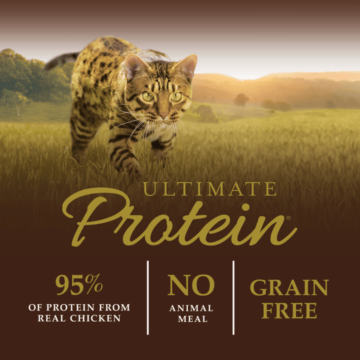 Instinct Dry Cat Food - Ultimate Protein Cage-Free Chicken Recipe 