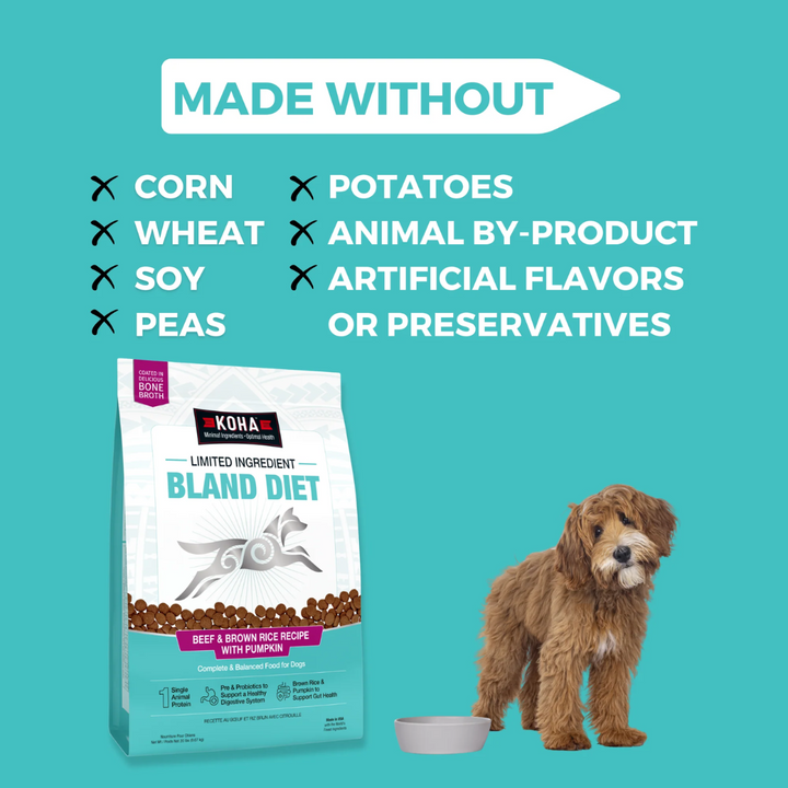 KOHA Dry Dog Food - Limited Ingredient Dry Bland Diet Beef & Brown Rice Recipe with Pumpkin