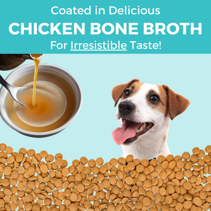 KOHA Dry Dog Food - Limited Ingredient Dry Bland Diet Chicken & Brown Rice Recipe with Pumpkin