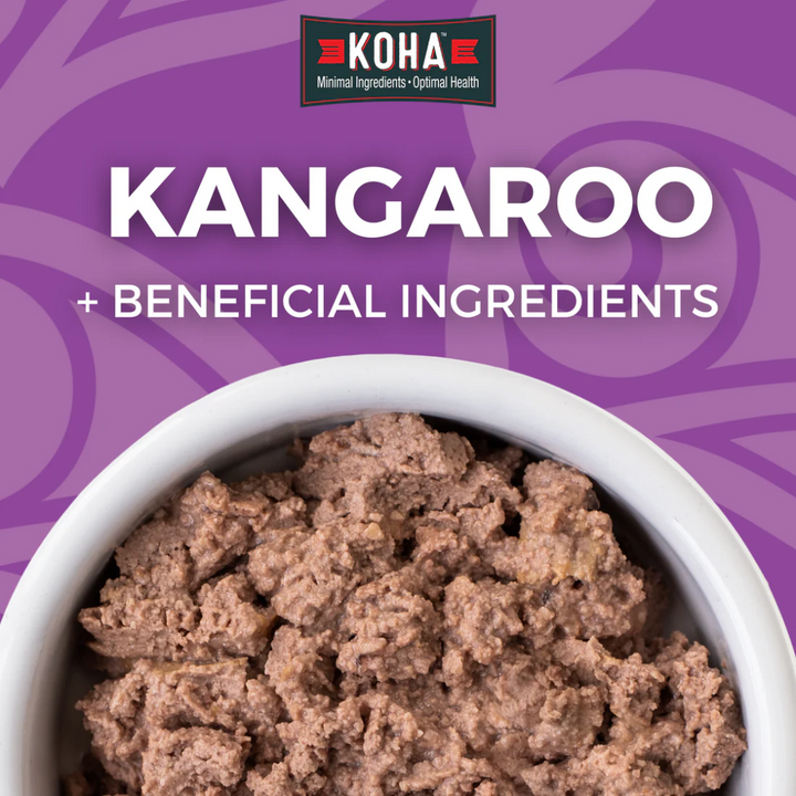 KOHA Wet Cat Food - Limited Ingredient Diet Kangaroo Canned