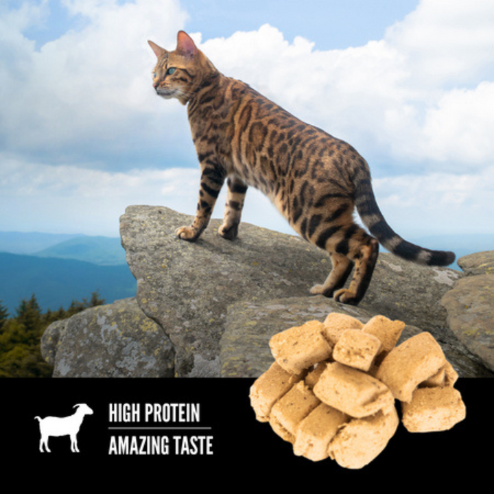 Orijen Freeze Dried Cat Treats - Tundra Recipe