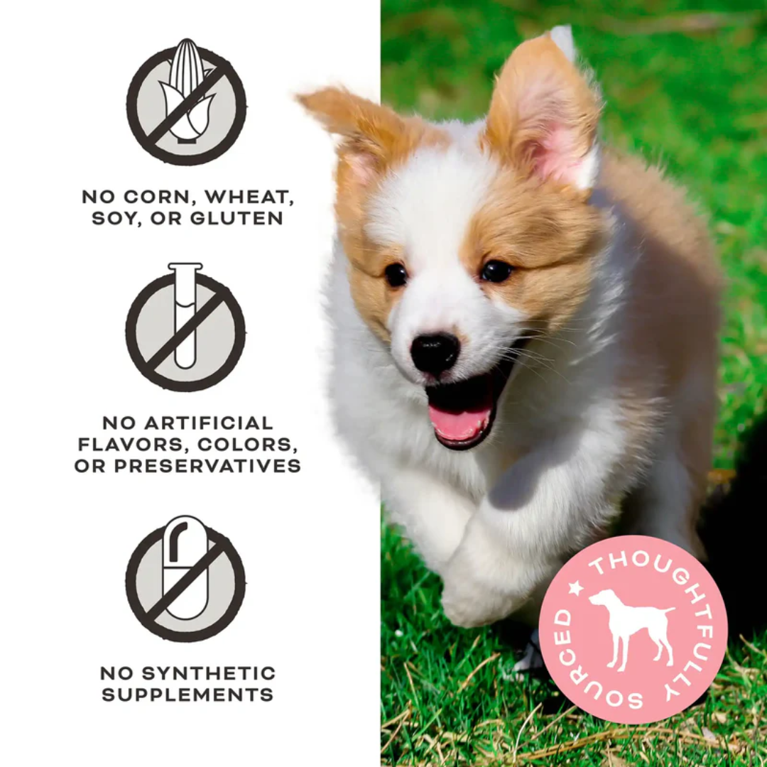 Primal Dog Treats - FriendChips Matter Chicken Jerky Chips