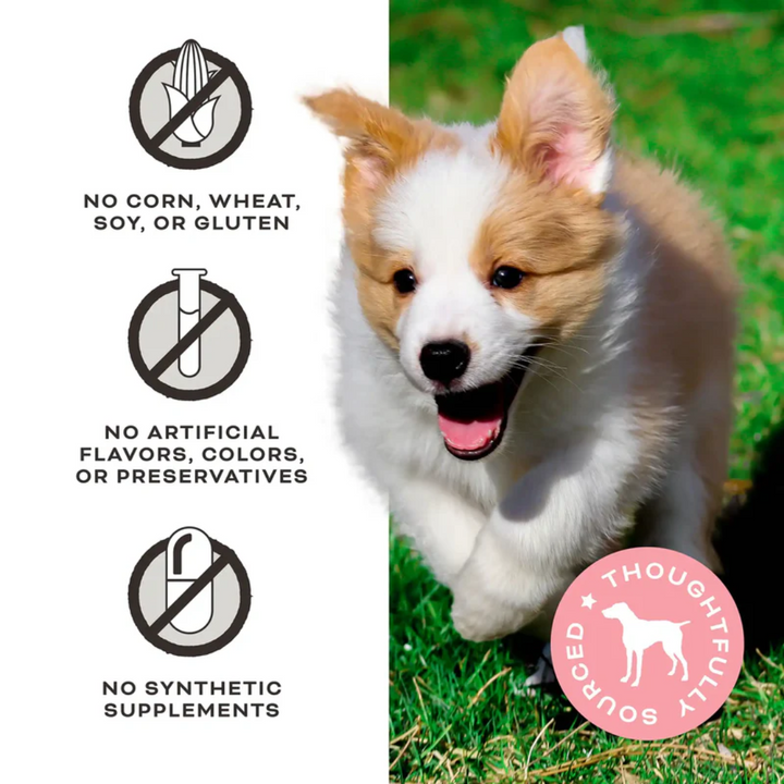 Primal Dog Treats - FriendChips Matter Chicken Jerky Chips