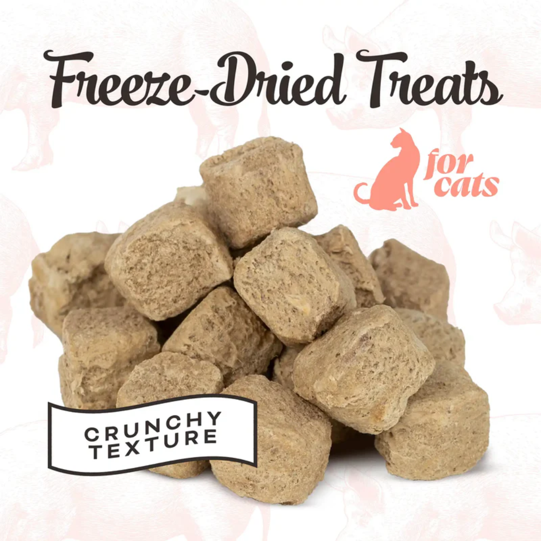 Primal Freeze-Dried Cat Treats - Liver Laugh Love Pork Treats