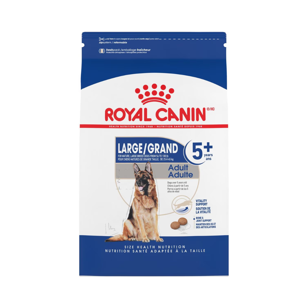 Royal Canin Dry Dog Food - Large Aging 5 Plus