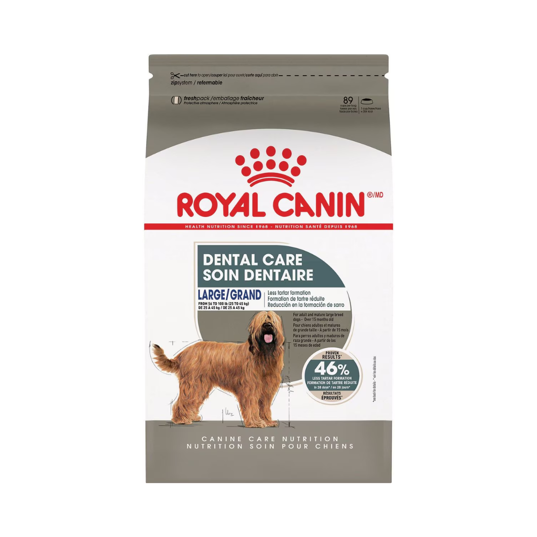 Royal Canin Dry Dog Food - Large Dental Care