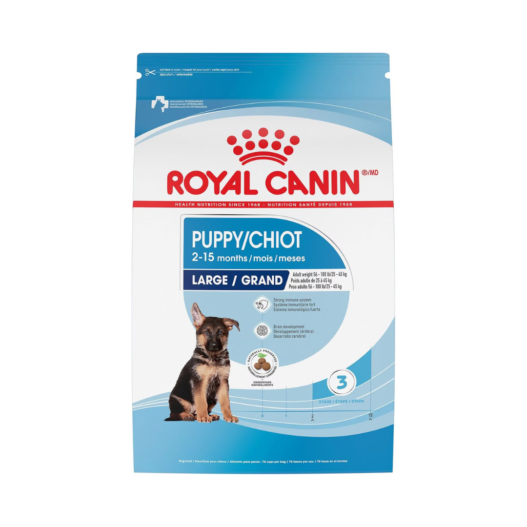 Royal Canin Dry Dog Food - Large Puppy