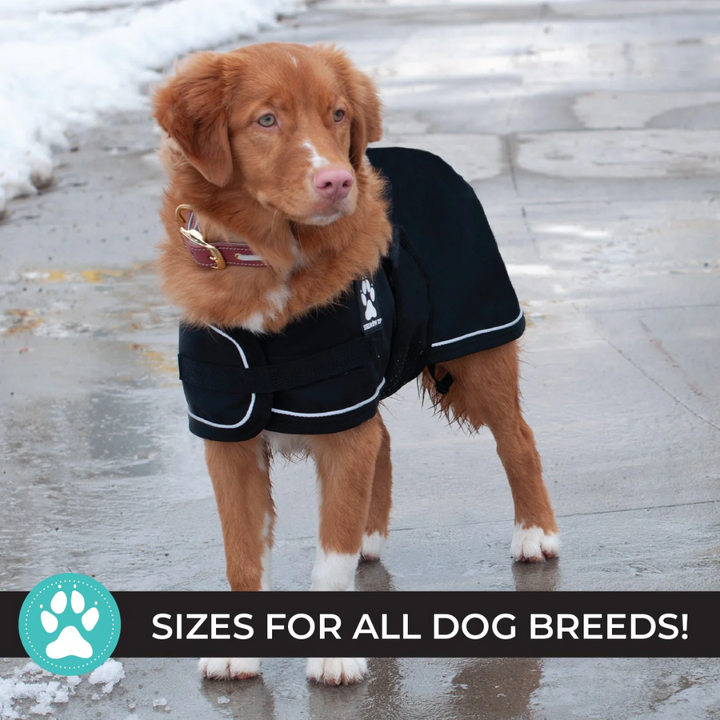 Shedrow K9 Dog Accessories - Harbour Rain Coat