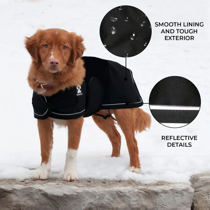 Shedrow K9 Dog Accessories - Harbour Rain Coat