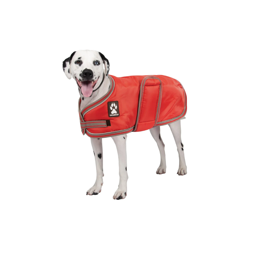 Shedrow K9 Dog Accessories - Vail Coat