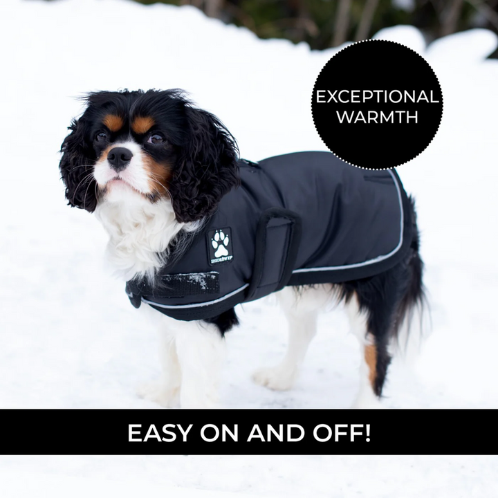 Shedrow K9 Dog Accessories - Vail Coat