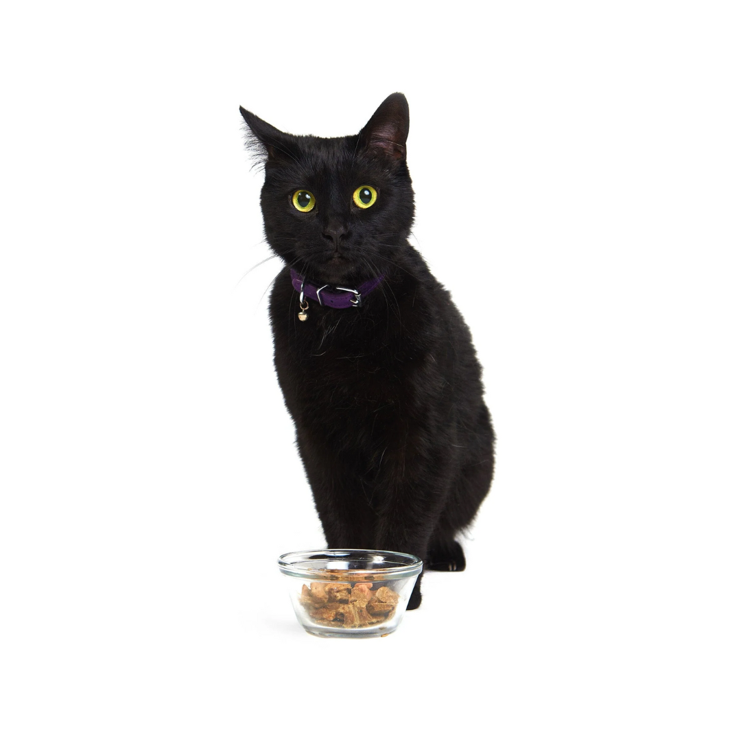 Smack Dehydrated Cat Food - Purrfect Pork