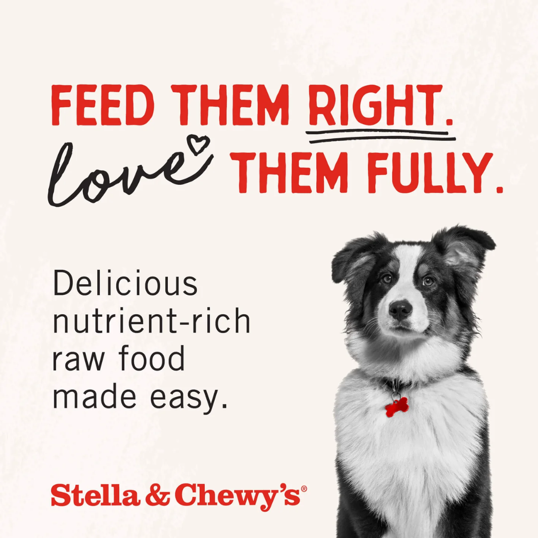 Stella & Chewy's Freeze-Dried Raw Blend Dog Food -Red Meat Kibble