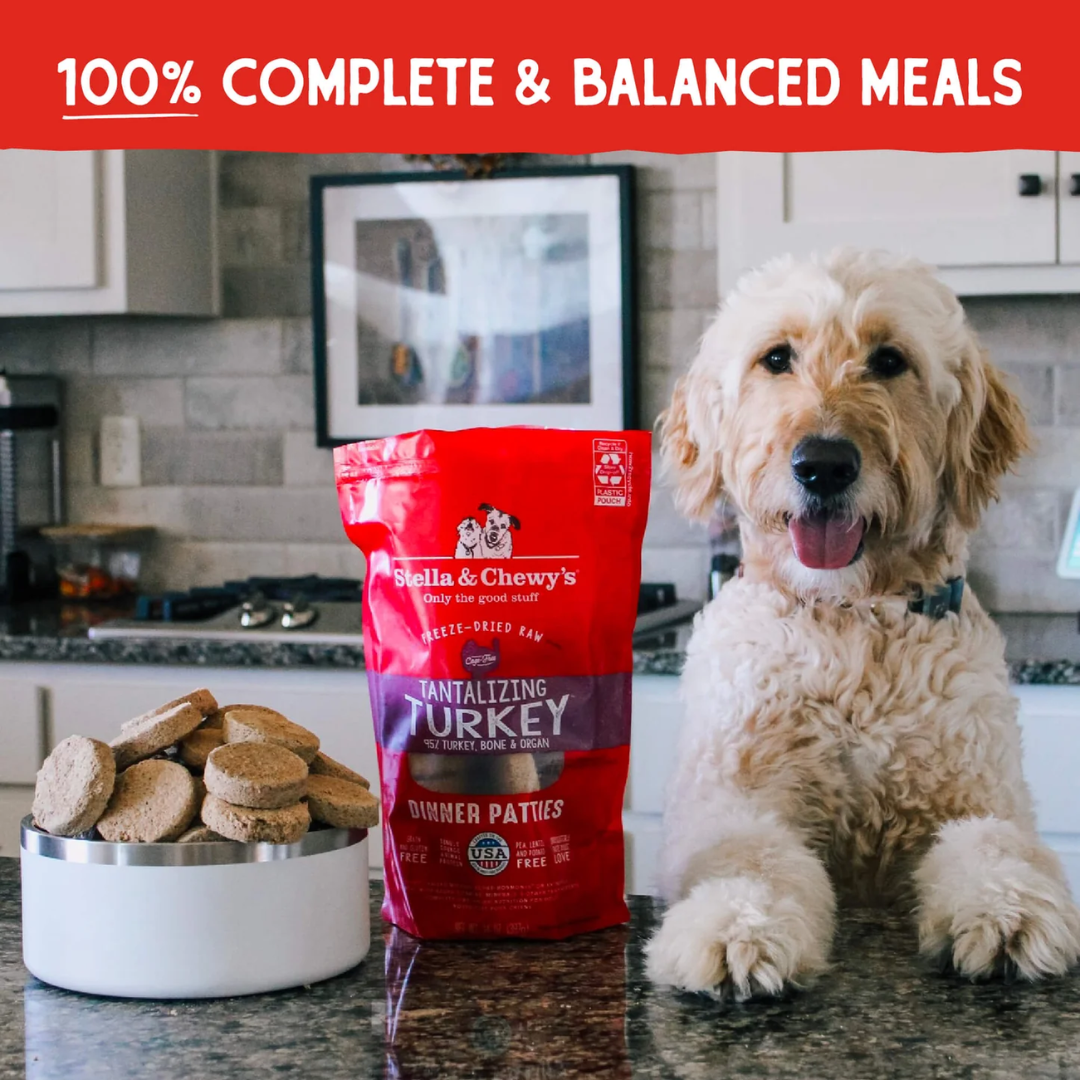 Stella & Chewy's Freeze-Dried Raw Dog Food - Tantalizing Turkey Dinner Patties