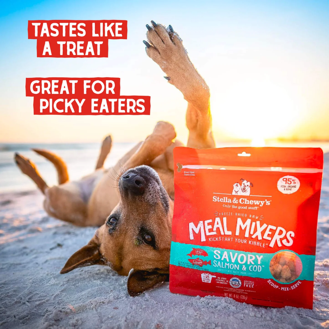 Stella & Chewy's Freeze-Dried Raw Dog Meal Mixers - Savory Salmon & Cod