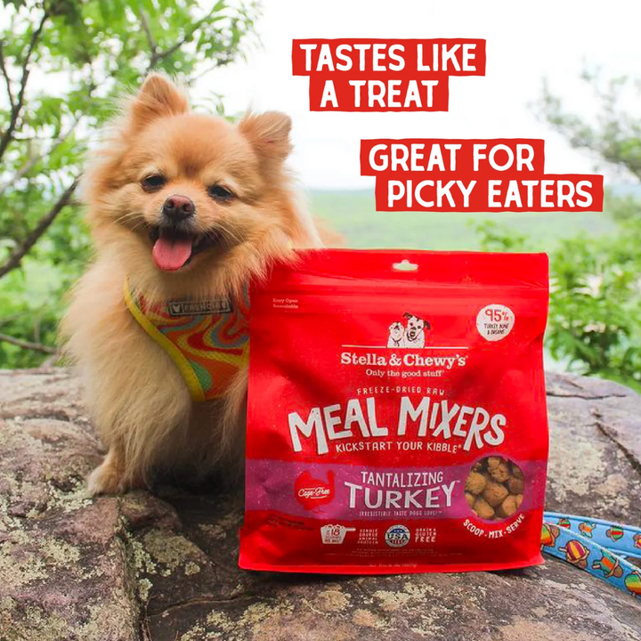 Stella & Chewy's Freeze-Dried Raw Dog Meal Mixers - Tantalizing Turkey