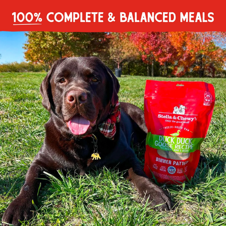 Stella & Chewy's Freeze Dried Raw Dog Food - Duck Duck Goose Dinner Patties