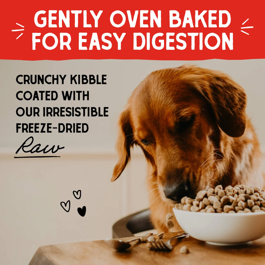 Stella & Chewy's Raw Freeze-Dried Dog Food - Cage-Free Duck Coated Kibble