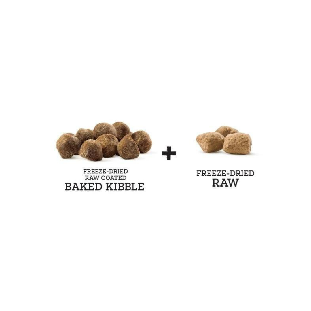 Stella & Chewy's Freeze-Dried Raw Blend Dog Food - Red Meat Recipe with Pumpkin & Quinoa + Wholesome Grains