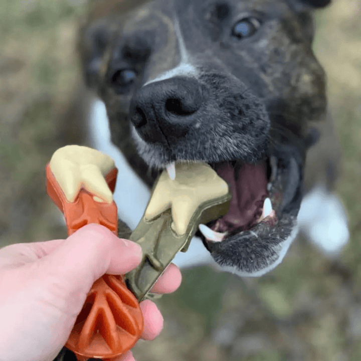 Whimzees Dog Treats - Brushzees All Natural Daily Dental Treats 