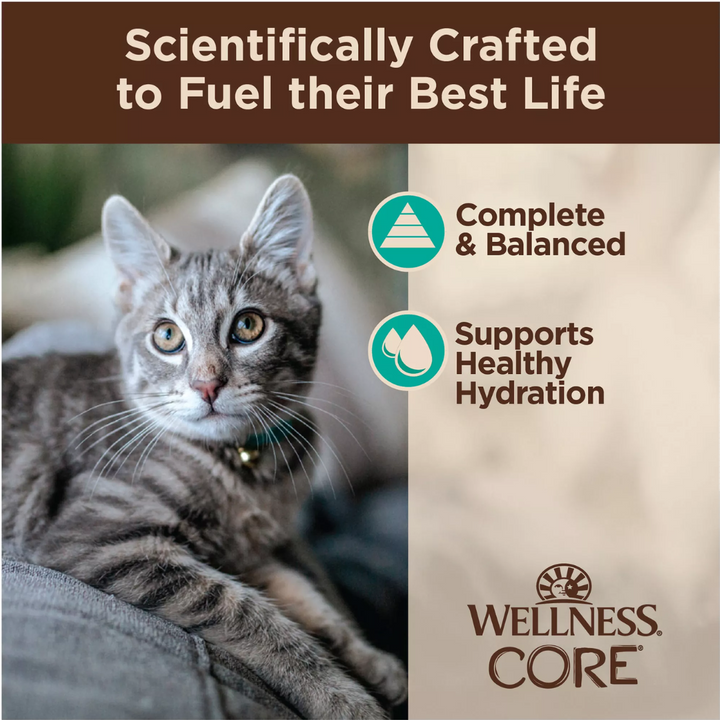 Wellness Wet Cat Food - CORE Tiny Tasters Flaked Tuna & Salmon