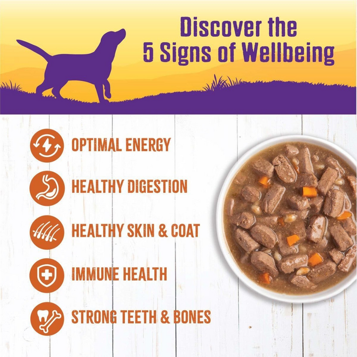 Wellness Wet Dog Food - Complete Health Turkey Stew Canned