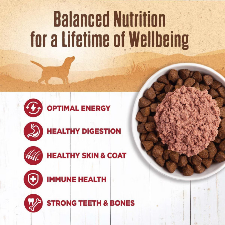 Wellness Wet Dog Food Toppers & Mixers - Complete Health 95% Recipe Beef Canned