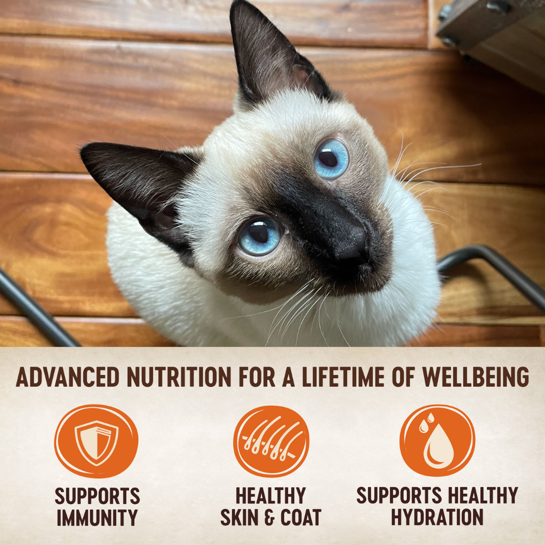 Wellness Wet Cat Food - CORE Tiny Tasters Chicken Recipe Pouch 
